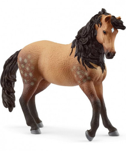 HORSE CLUB - JUMENT ANDALOUSE