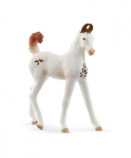 HORSE CLUB - POULAIN MARWARI