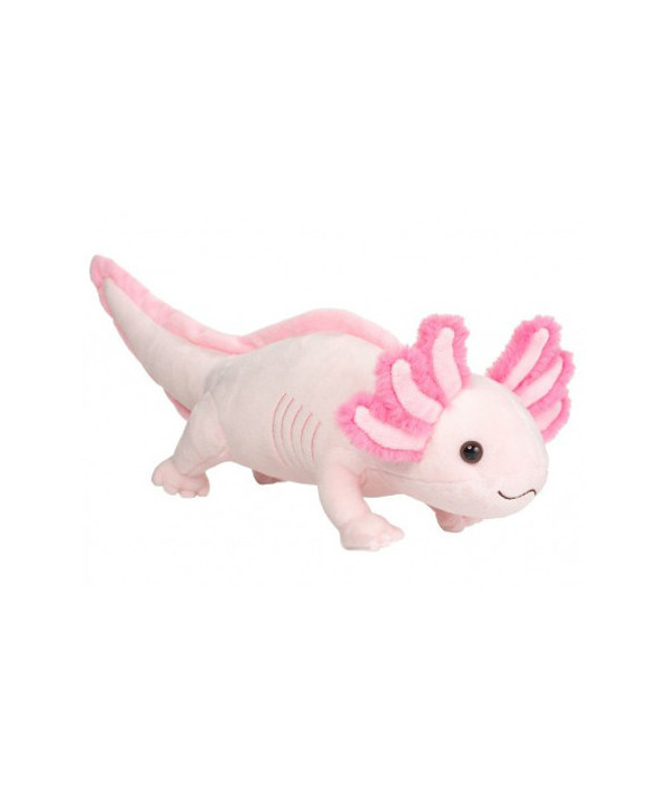 AXOLOTL