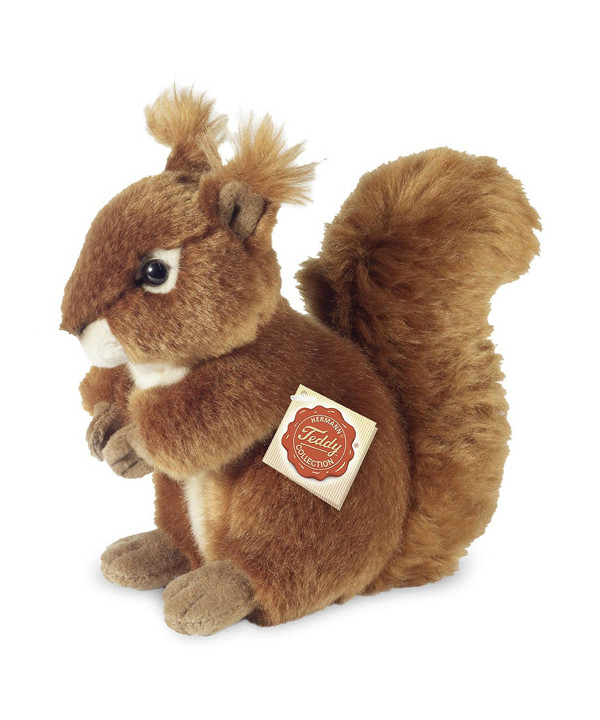 SQUIRREL