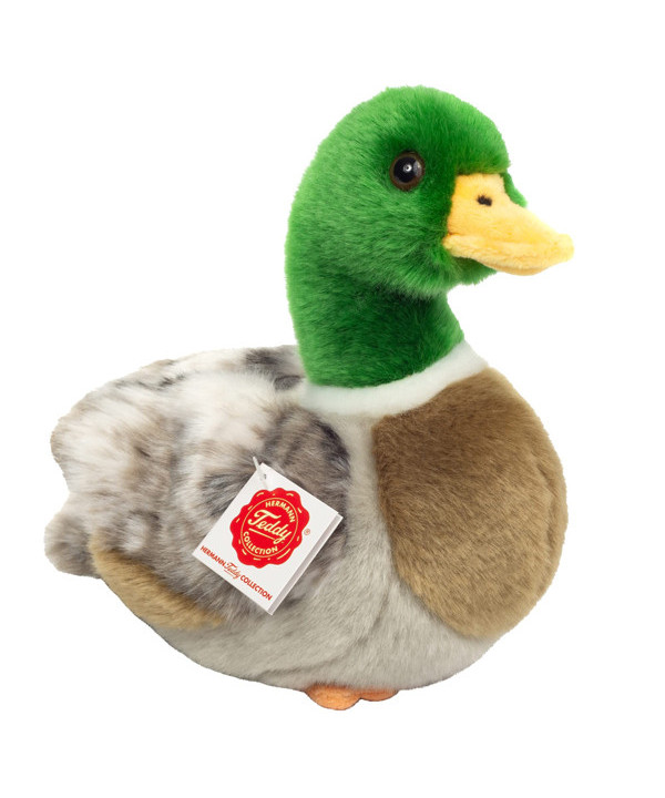 MALLARD DUCK