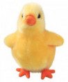 CHICK