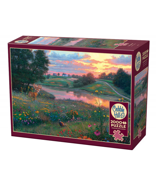 PZL 2000 PCS - THE GLOAMING