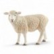 Mouton