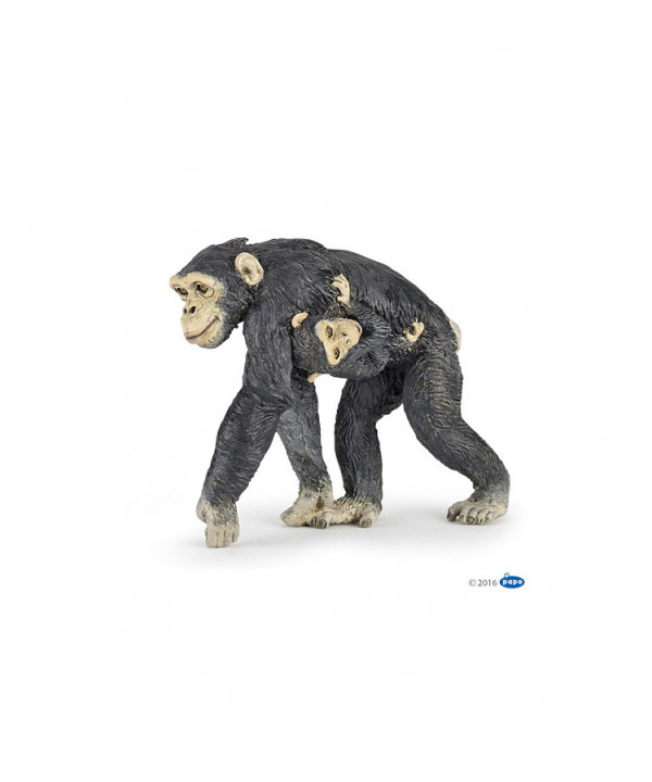 LA VIE SAUVAGE - CHIMPANZÉ ET SON BÉBÉ