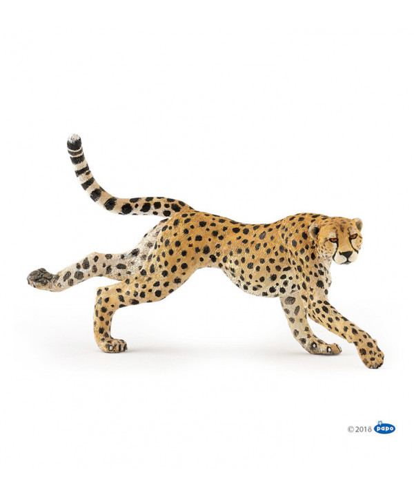 LA VIE SAUVAGE - GUÉPARD COURANT