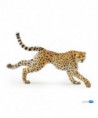 LA VIE SAUVAGE - GUÉPARD COURANT