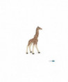 LA VIE SAUVAGE - GIRAFON
