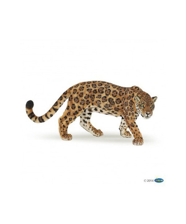 LA VIE SAUVAGE - JAGUAR