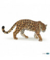 LA VIE SAUVAGE - JAGUAR