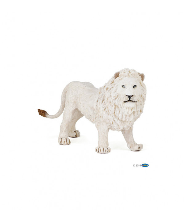 LA VIE SAUVAGE - LION BLANC