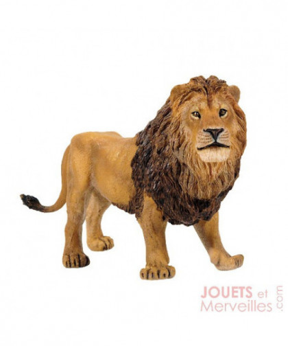 LA VIE SAUVAGE - LION