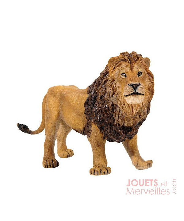 LA VIE SAUVAGE - LION