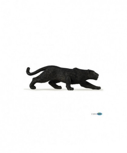 LA VIE SAUVAGE - PANTHÈRE NOIRE