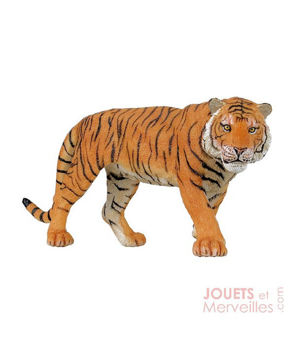 LA VIE SAUVAGE - TIGRE
