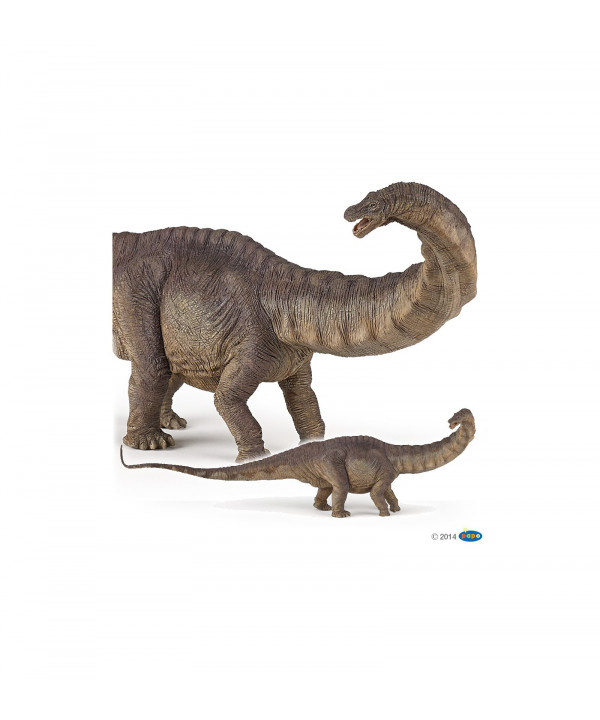 LES DINOSAURES - APATOSAURE