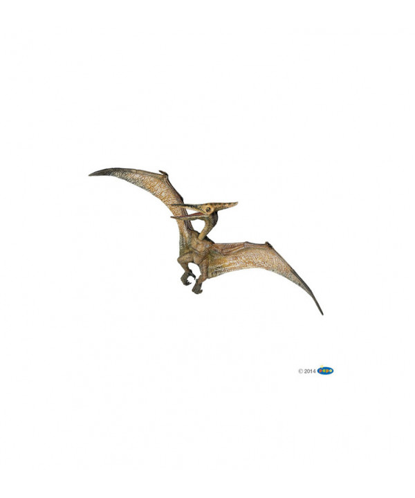 LES DINOSAURES - PTÉRANODON