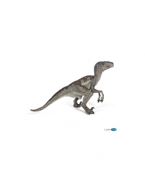 LES DINOSAURES - VÉLOCIRAPTOR