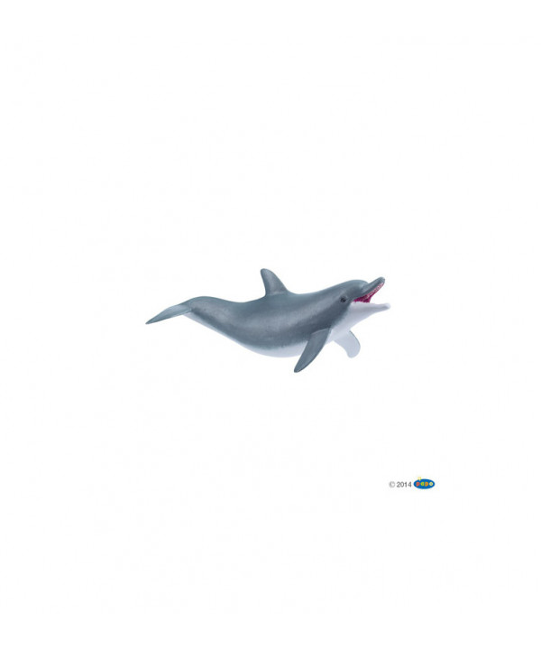 L'UNIVERS MARIN - DAUPHIN JOUANT