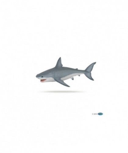 L'UNIVERS MARIN - REQUIN BLANC