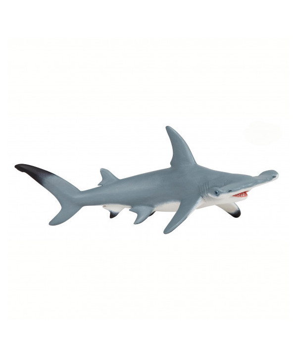 L'UNIVERS MARIN - REQUIN MARTEAU