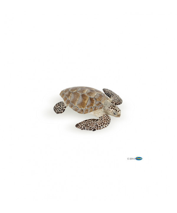 L'UNIVERS MARIN - TORTUE CAOUANNE
