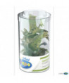 MINI PAPO - MINI PLUS DINOSAURES LOT 2 (TUBE - 6 PCS)