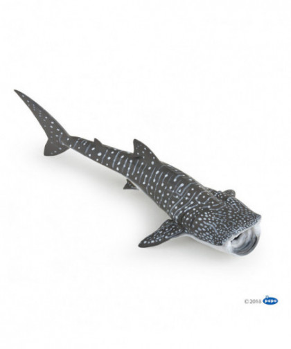 L'UNIVERS MARIN - REQUIN BALEINE