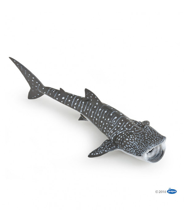 L'UNIVERS MARIN - REQUIN BALEINE