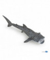 L'UNIVERS MARIN - REQUIN BALEINE