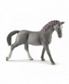 HORSE CLUB - JUMENT TRAKEHNEN