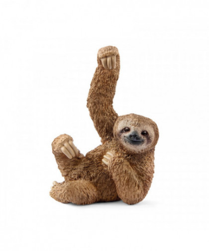 WILD LIFE - PARESSEUX