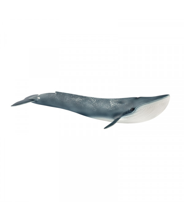 WILD LIFE - BALEINE BLEUE