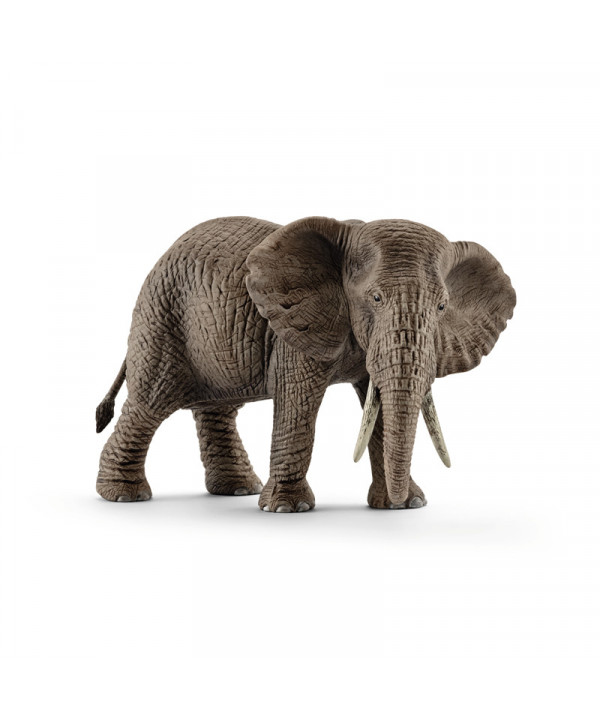 WILD LIFE - ÉLÉPHANT D'AFRIQUE FEMELLE