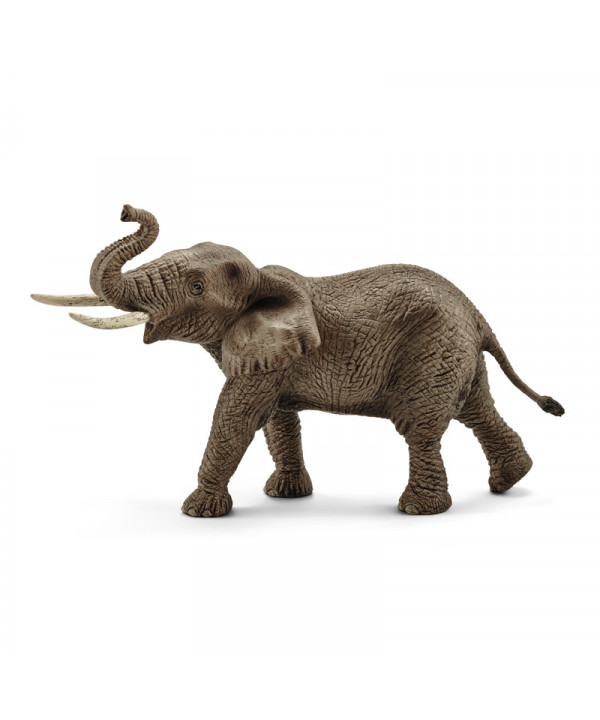 WILD LIFE - ÉLÉPHANT D'AFRIQUE MÂLE