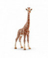 WILD LIFE - GIRAFE FEMELLE