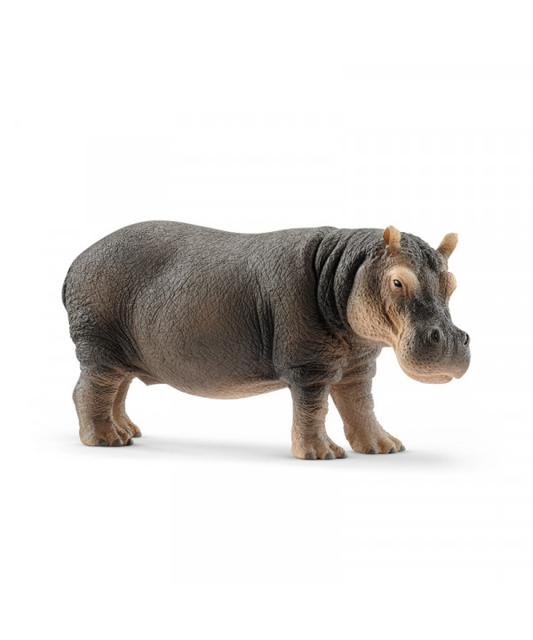 WILD LIFE - HIPPOPOTAME