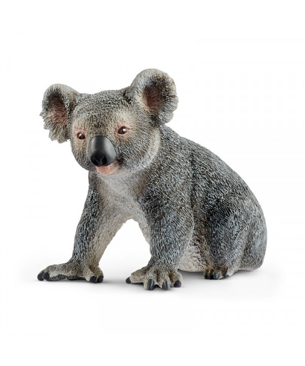 WILD LIFE - KOALA