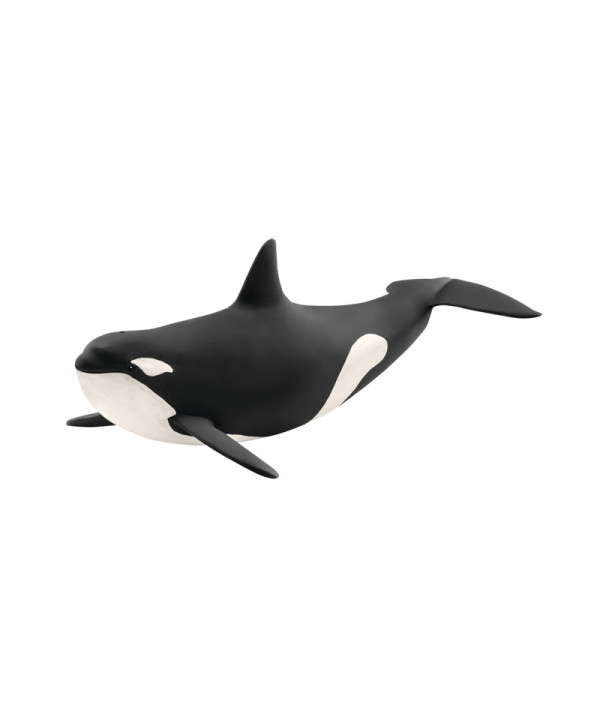 WILD LIFE - ORQUE