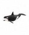 WILD LIFE - ORQUE