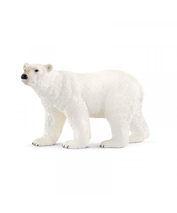 WILD LIFE - OURS POLAIRE