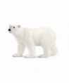 WILD LIFE - OURS POLAIRE