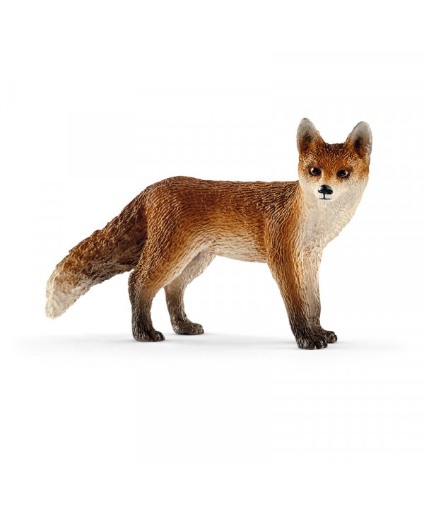 WILD LIFE - RENARD