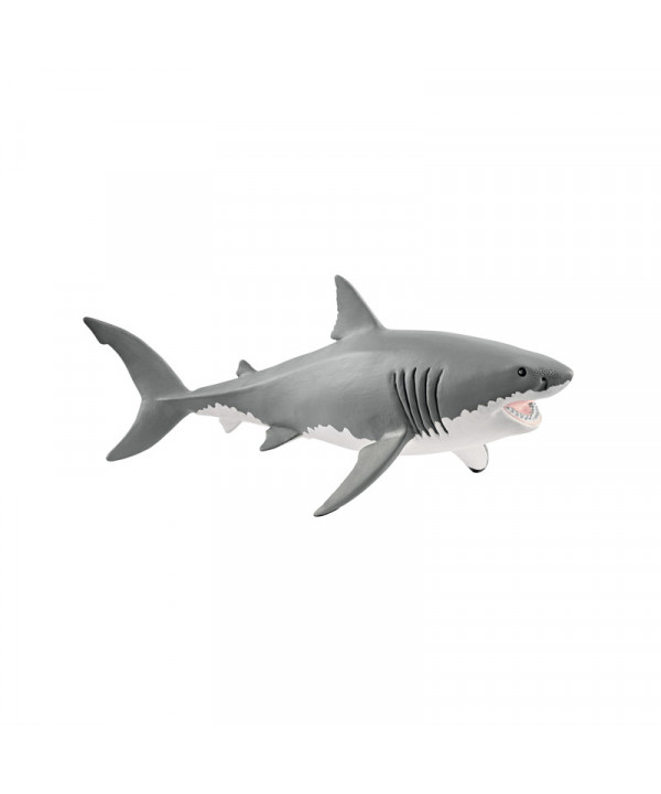 WILD LIFE - REQUIN BLANC