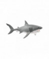 WILD LIFE - REQUIN BLANC