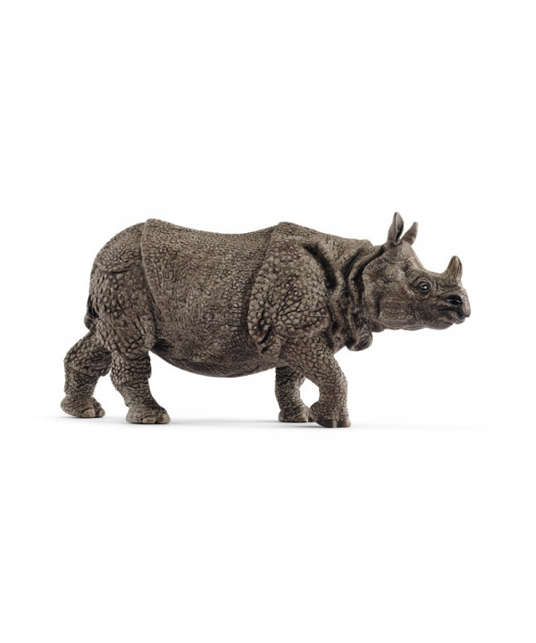 WILD LIFE - RHINOCÉROS INDIEN