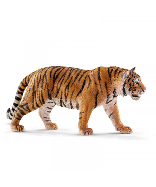 WILD LIFE - TIGRE DU BENGALE