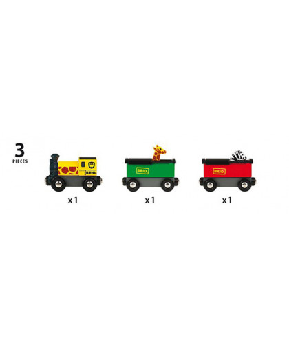 TRAIN SAFARI