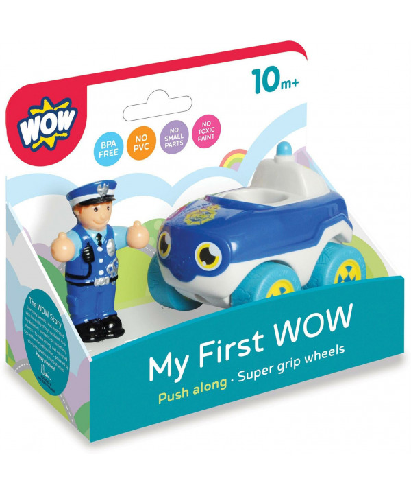 POLICE CAR BOBBY