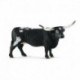 Vache Texas Longhorn